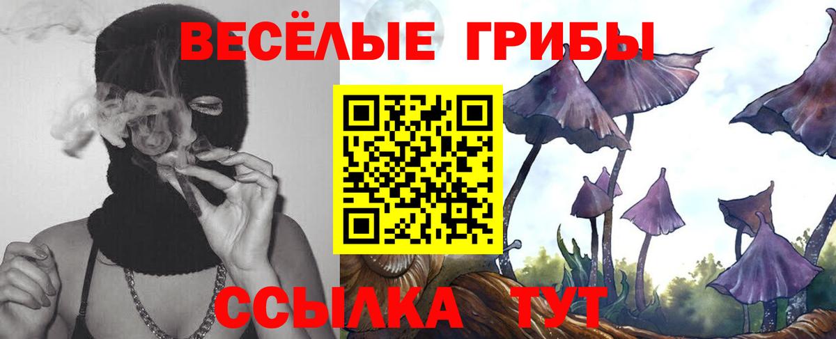 Галлюциногенные грибы прущие грибы  Псилоцибиновые грибы Magic Shrooms  Борисоглебск  Вход с VPN 